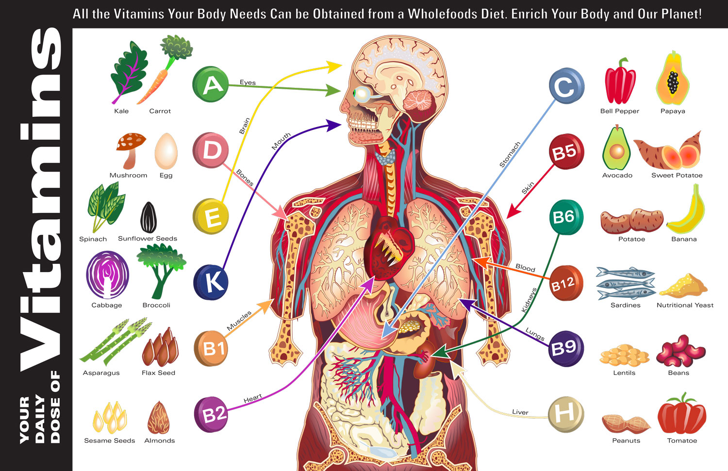 What Single Food Has The Most Vitamins And Minerals