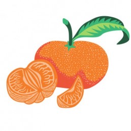 Citrus Tangerina - illustrations by Joren Eulalee for Shoots & Roots Bitters