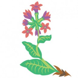 Pulmonaria Officinalis - illustrations by Joren Eulalee for Shoots & Roots Bitters